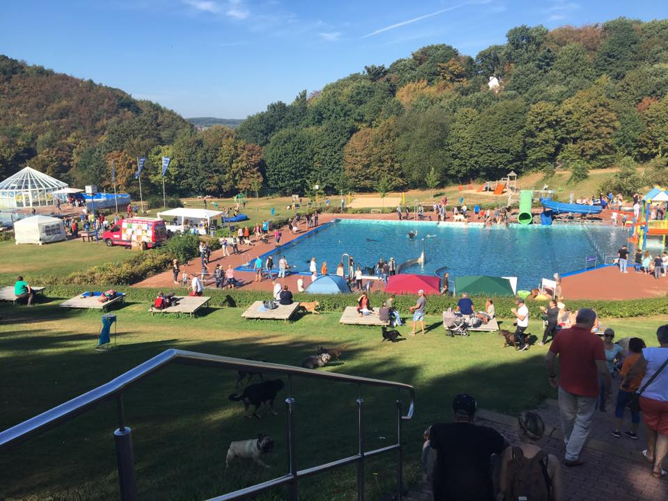 Hundeschwimmen im Freibad Hagen