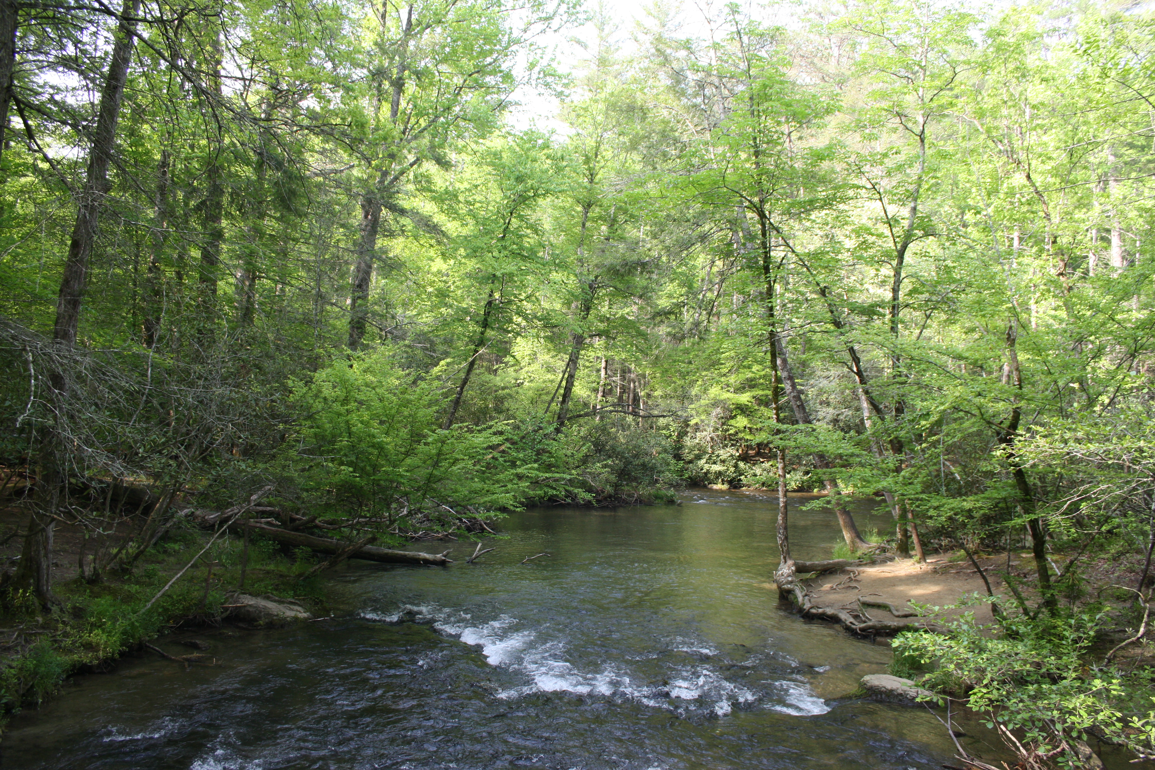 Landschaft North Carolina